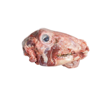 Frozen lamb Head Bone In