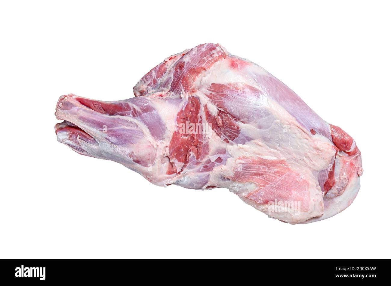 6. MUTTON SHOULDER FRONT