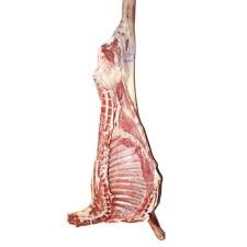 4. mutton half
