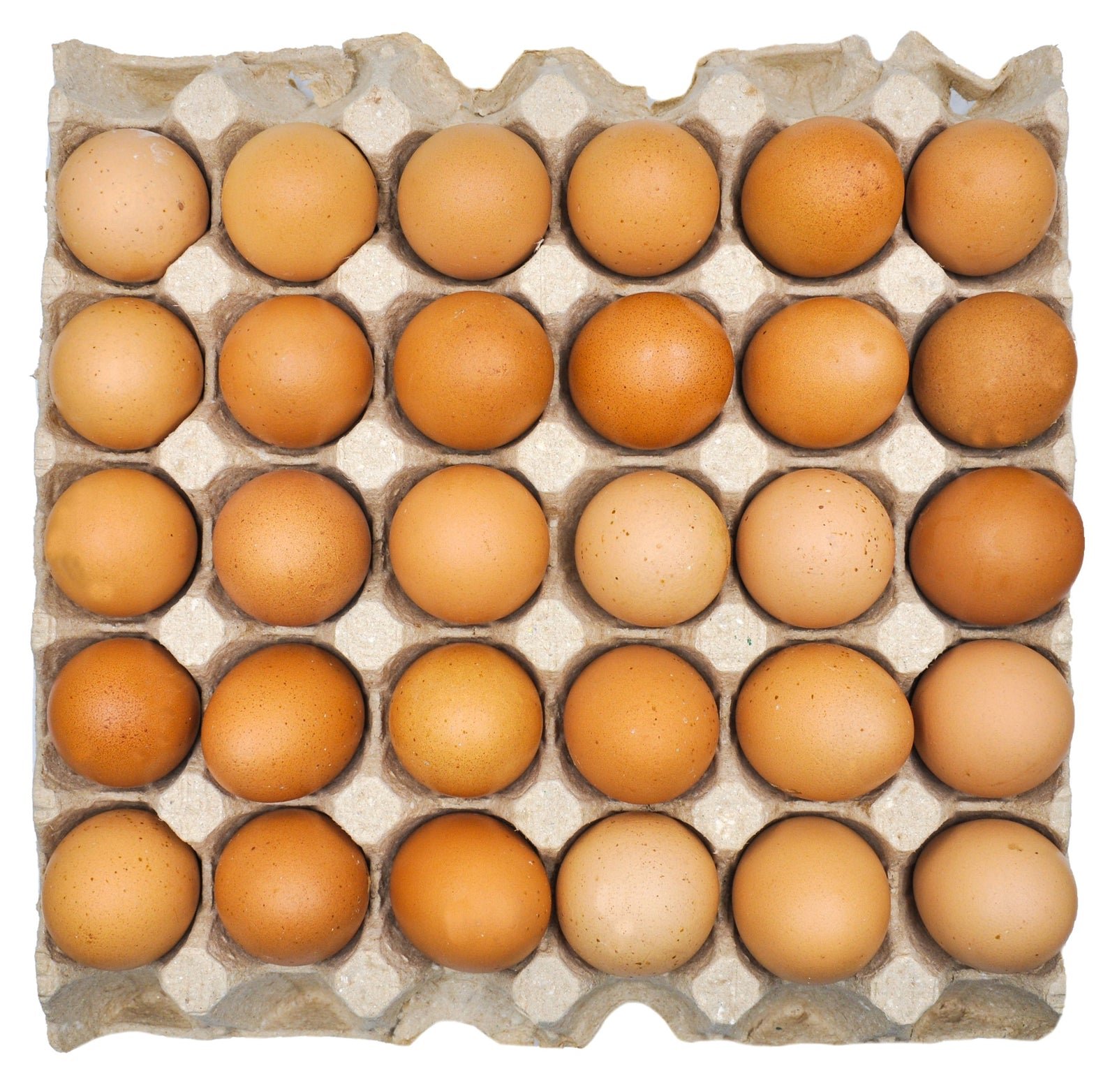 brown organic eggs tray