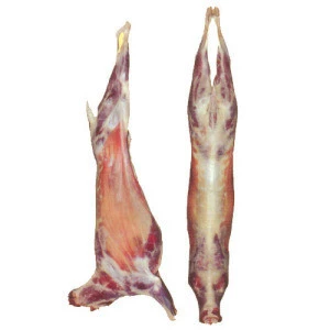 frozen goat whole