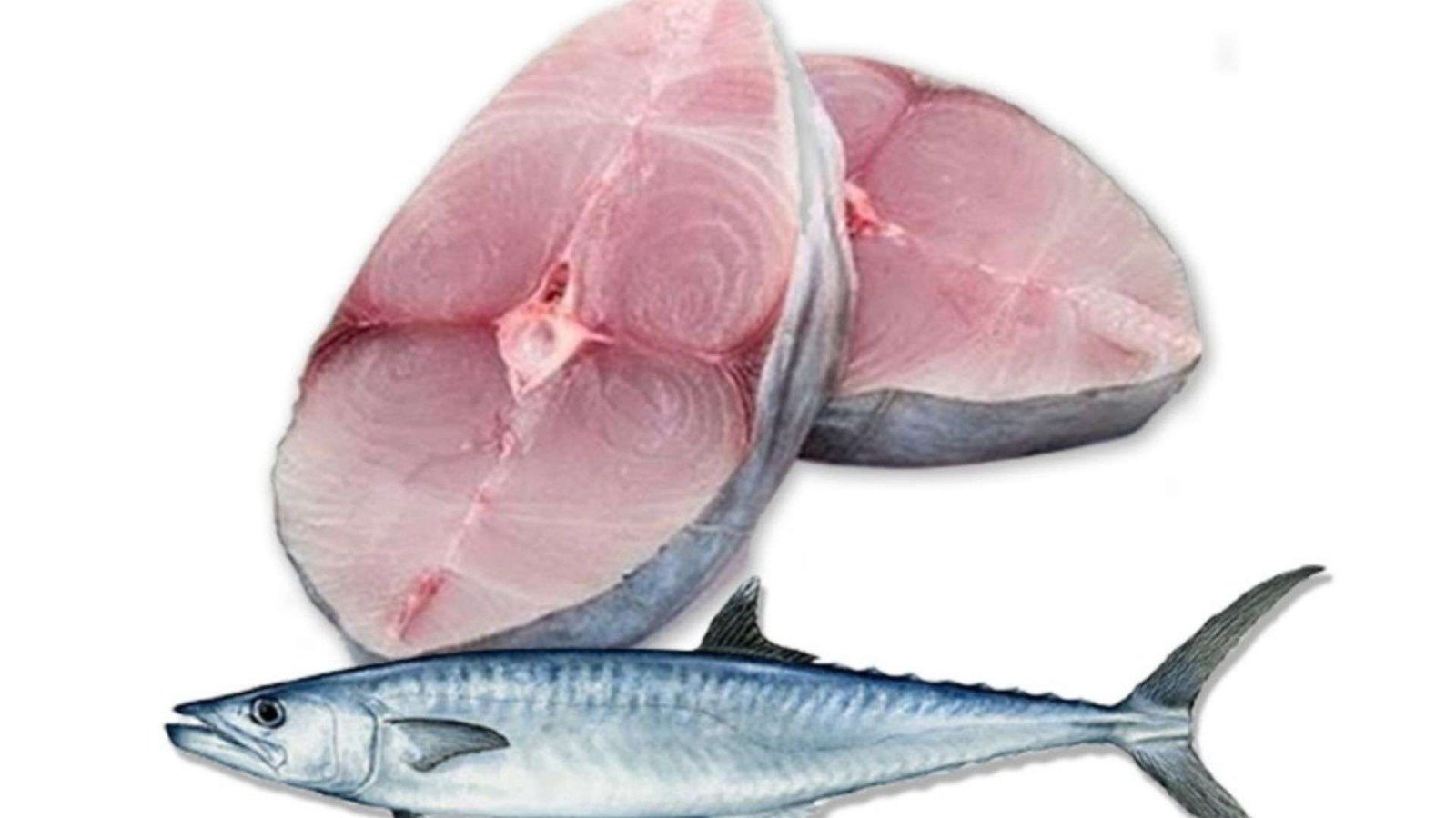 king fish