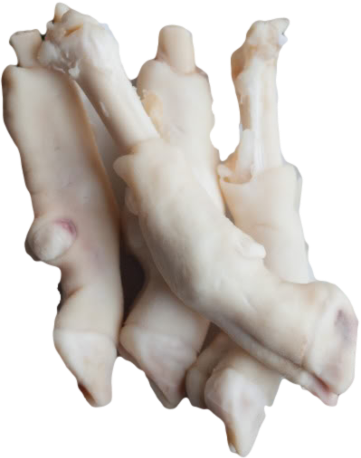 mutton paya with skin