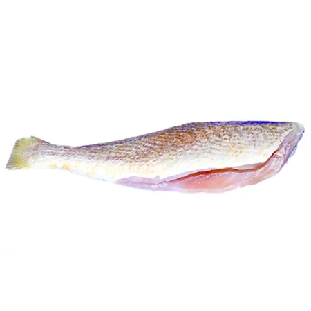 croaker fish whole