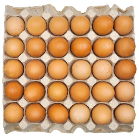 brown organic eggs tray