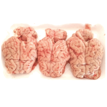 lamb/goat brain